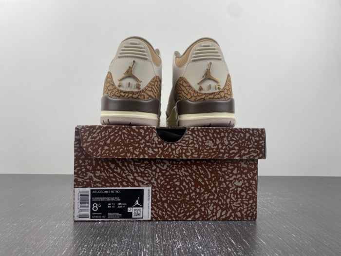 Air Jordan 3 “Palomino”  CT8532-102
