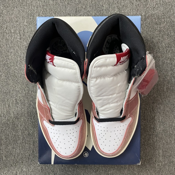 Trophy Room x Air Jordan 1 High OG DA2728-100