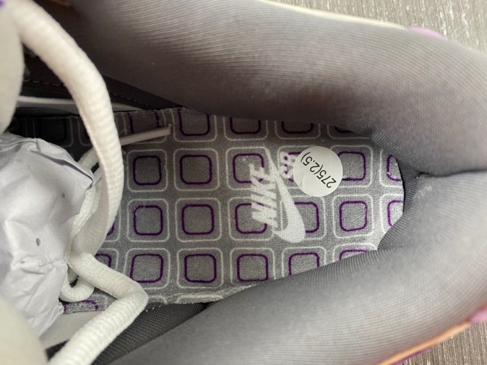 D*unk S*B Low Purple Pigeon 304292-051