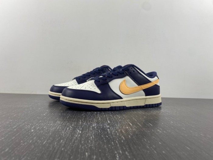 N*ike D*unk Low Retro FV8106-181