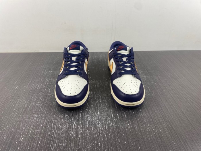 N*ike D*unk Low Retro FV8106-181