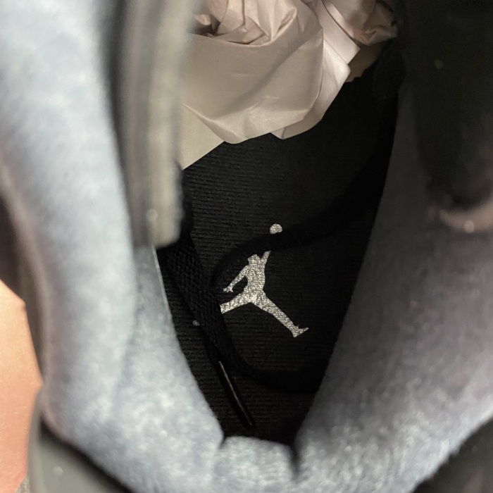 Air Jordan 6 Metallic Silver DX2836-001