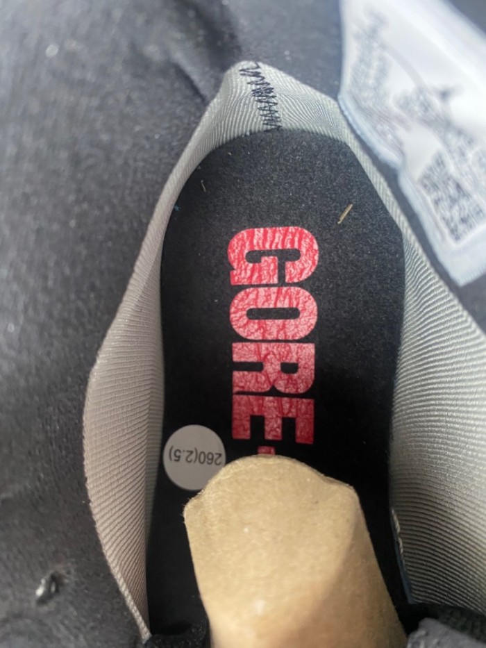 A*ir J*ordan 1 Element “Bred”  DB2889-002