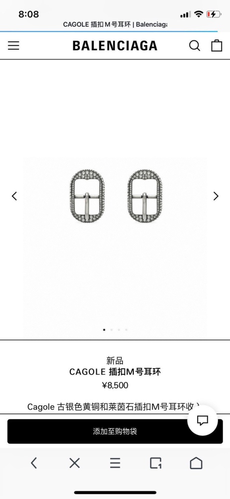 Earrings