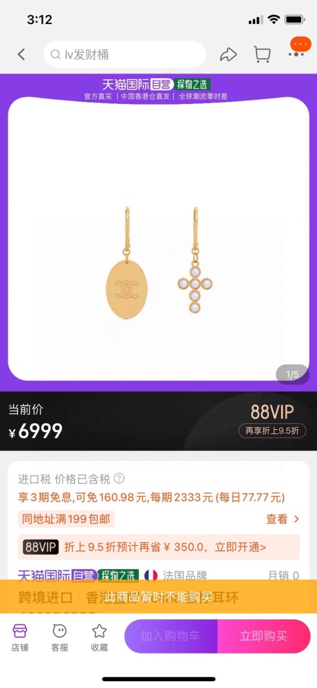 Earrings