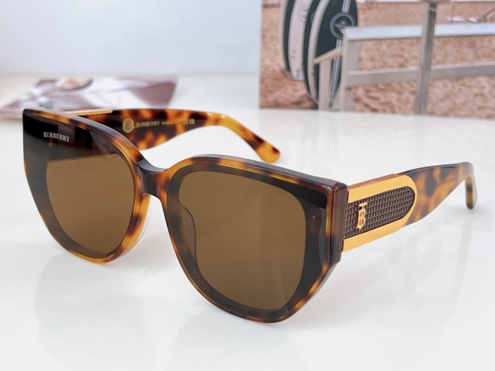 Top Quality B*URBERR Glasses