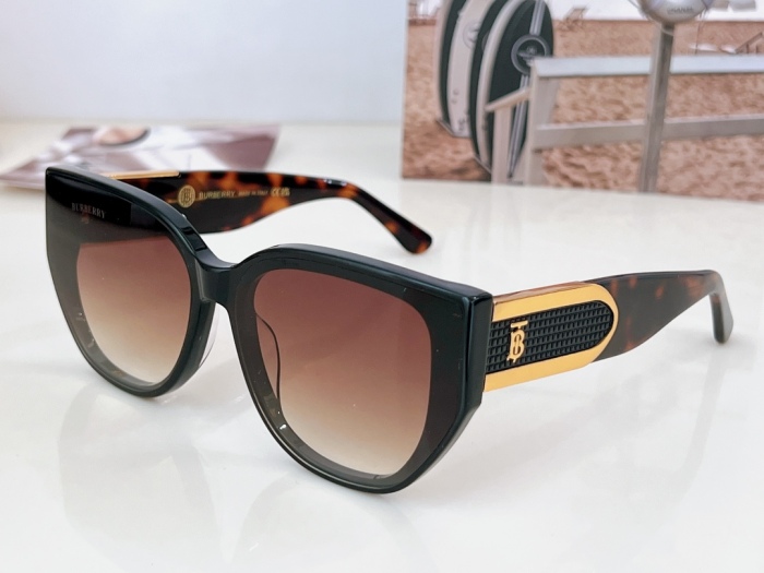 Top Quality B*URBERR Glasses