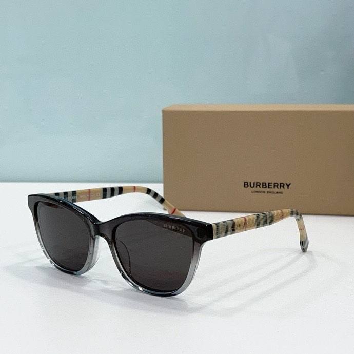 Top Quality B*URBERR Glasses