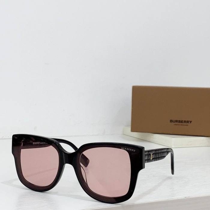 Top Quality B*URBERR Glasses
