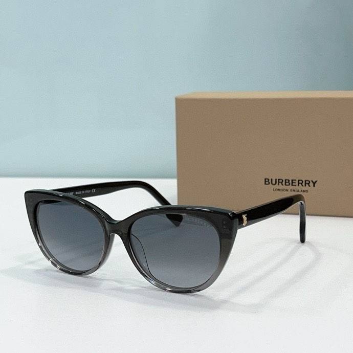 Top Quality B*URBERR Glasses
