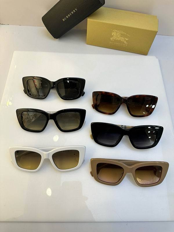 Top Quality B*URBERR Glasses