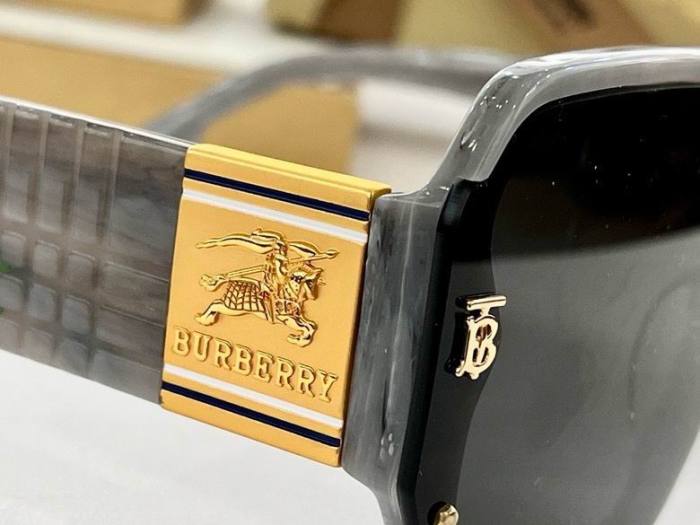 Top Quality B*URBERR Glasses