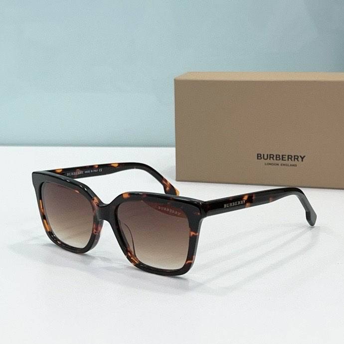 Top Quality B*URBERR Glasses