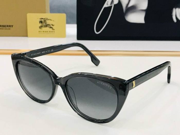 Top Quality B*URBERR Glasses