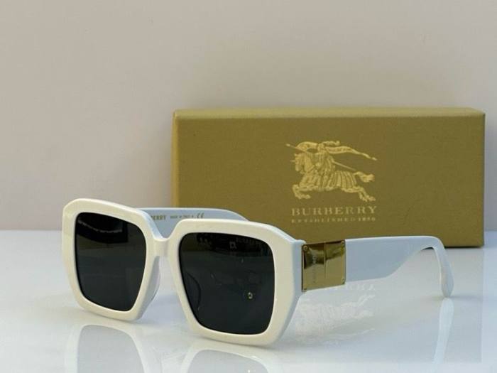 Top Quality B*URBERR Glasses