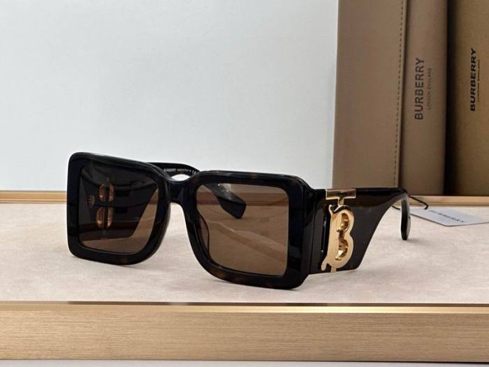 Top Quality B*URBERR Glasses