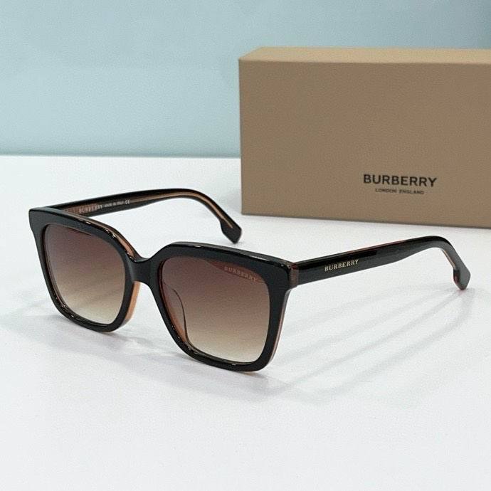 Top Quality B*URBERR Glasses