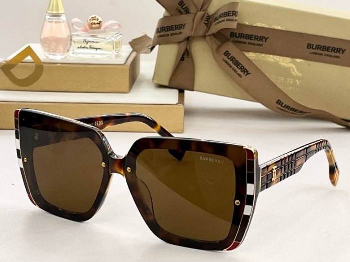 Top Quality B*URBERR Glasses