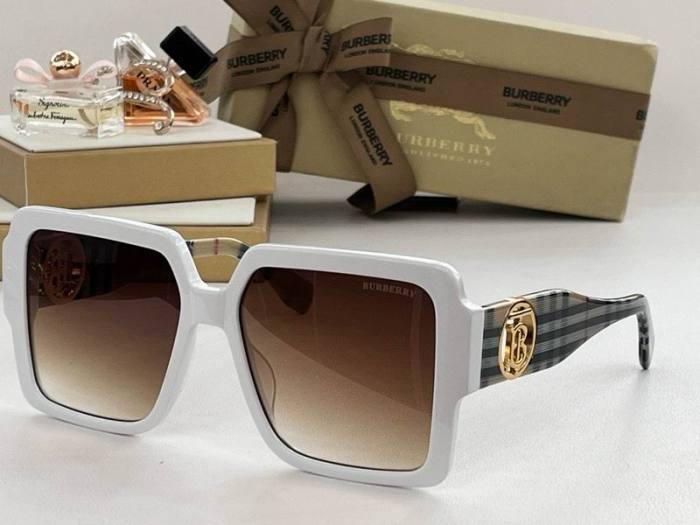 Top Quality B*URBERR Glasses