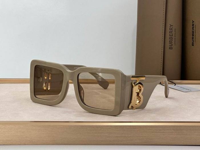 Top Quality B*URBERR Glasses