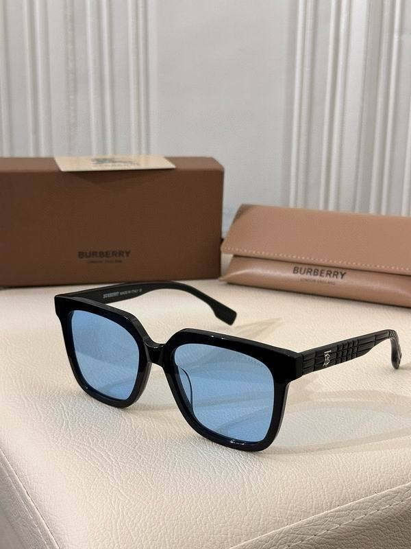 Top Quality B*URBERR Glasses