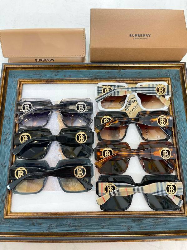 Top Quality B*URBERR Glasses