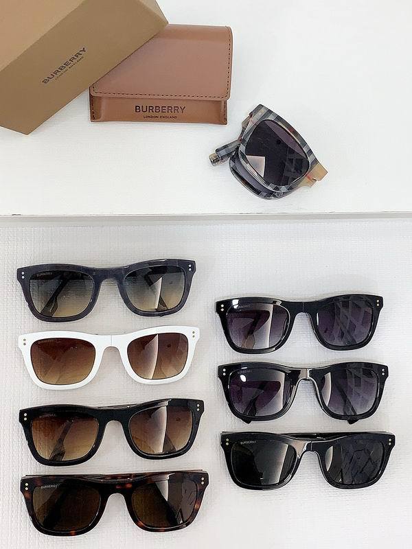Top Quality B*URBERR Glasses