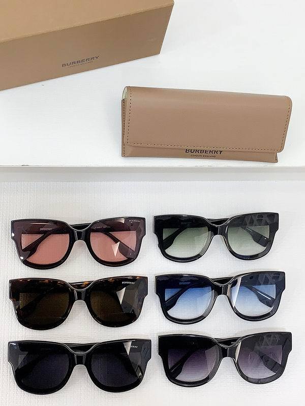 Top Quality B*URBERR Glasses