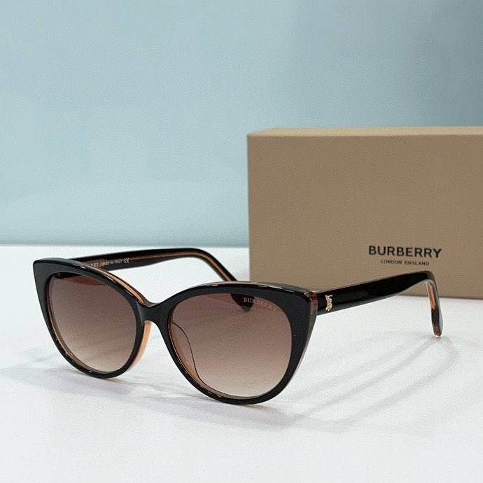Top Quality B*URBERR Glasses
