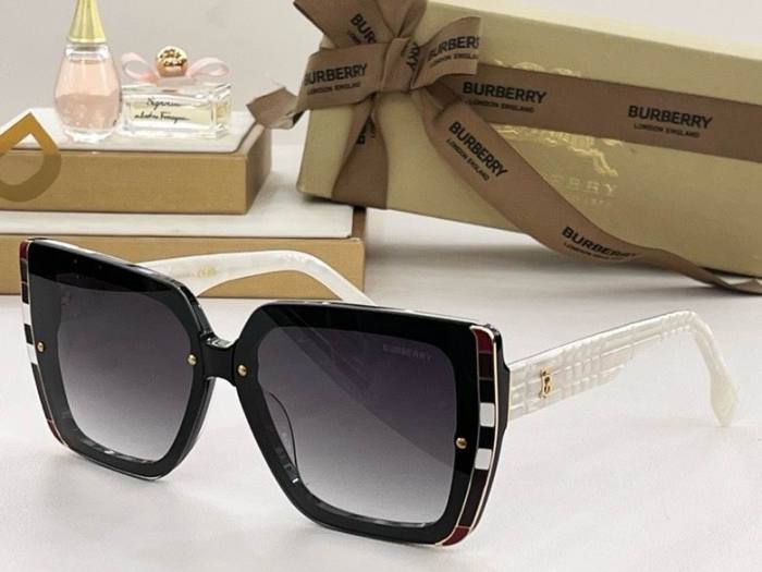 Top Quality B*URBERR Glasses