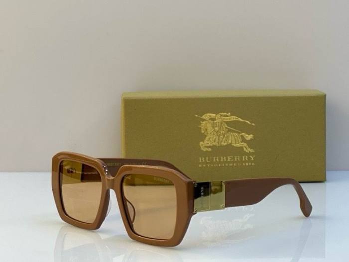 Top Quality B*URBERR Glasses