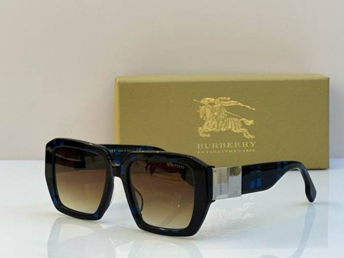 Top Quality B*URBERR Glasses