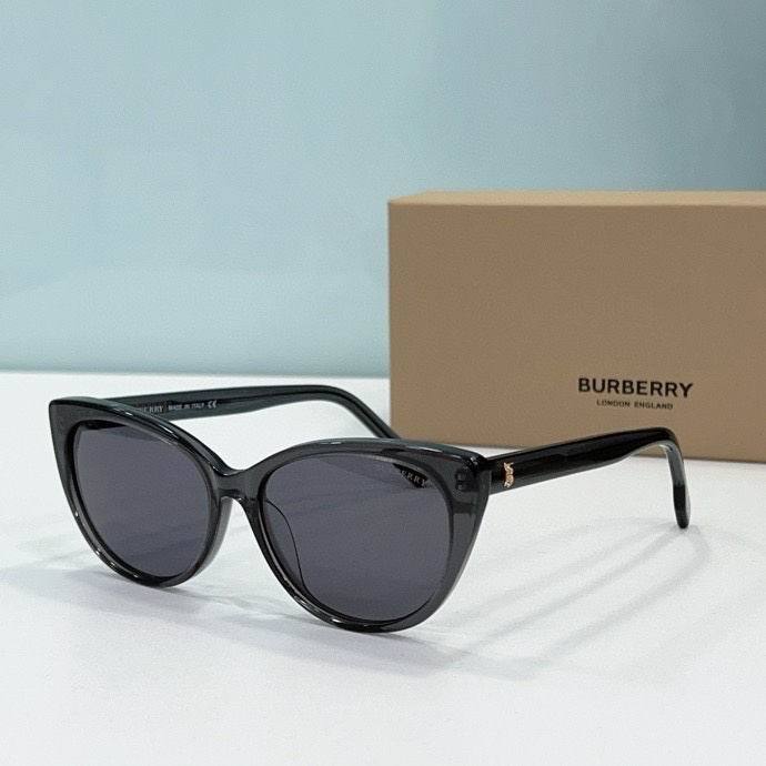 Top Quality B*URBERR Glasses