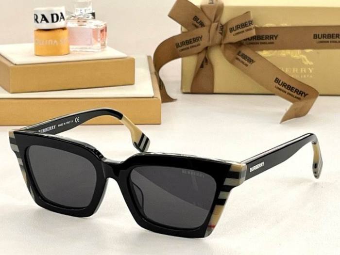 Top Quality B*URBERR Glasses