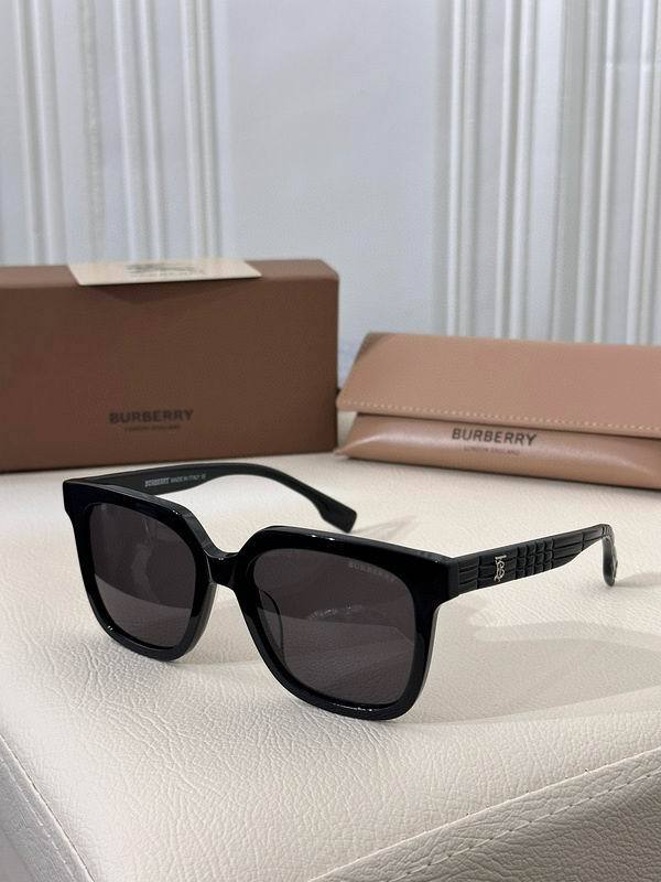 Top Quality B*URBERR Glasses