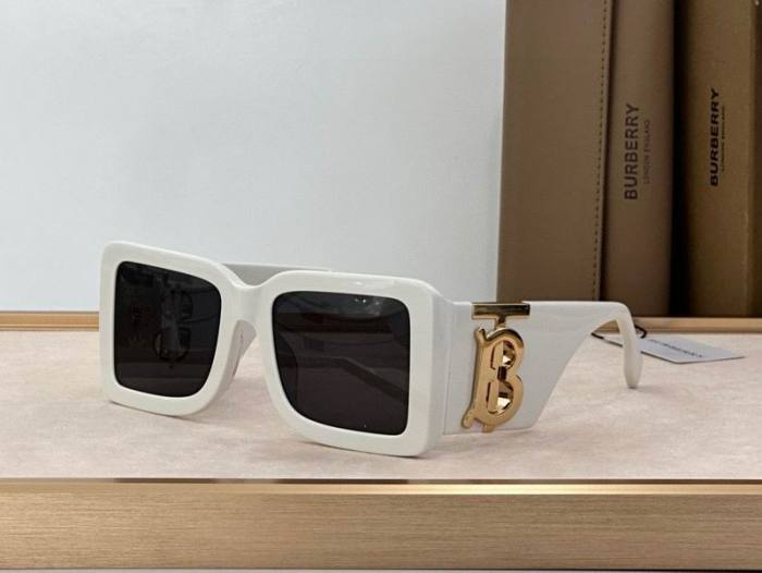 Top Quality B*URBERR Glasses