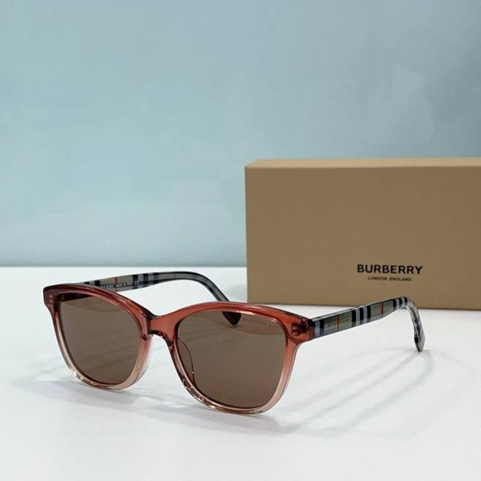 Top Quality B*URBERR Glasses