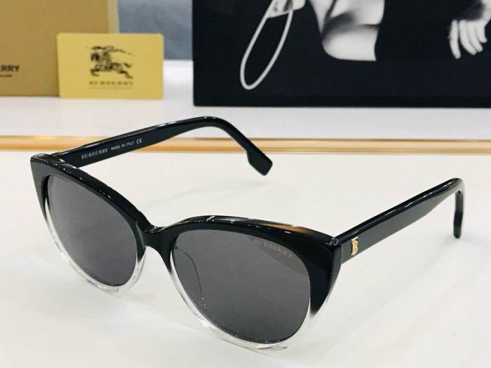 Top Quality B*URBERR Glasses