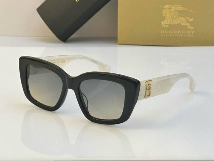 Top Quality B*URBERR Glasses