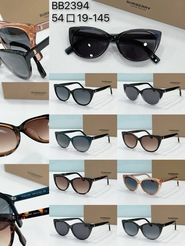 Top Quality B*URBERR Glasses