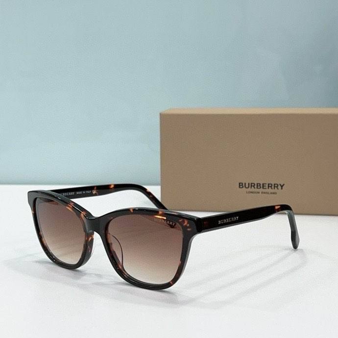 Top Quality B*URBERR Glasses