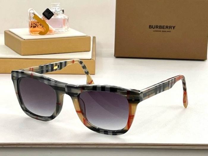 Top Quality B*URBERR Glasses