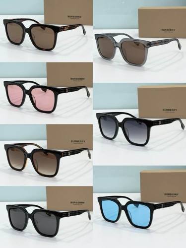 Top Quality B*URBERR Glasses