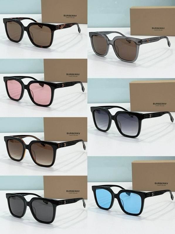 Top Quality B*URBERR Glasses