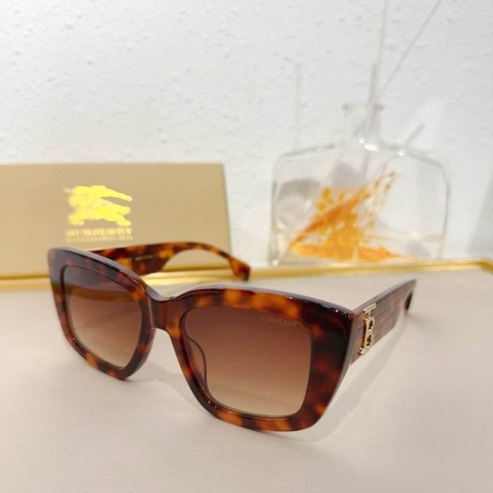 Top Quality B*URBERR Glasses