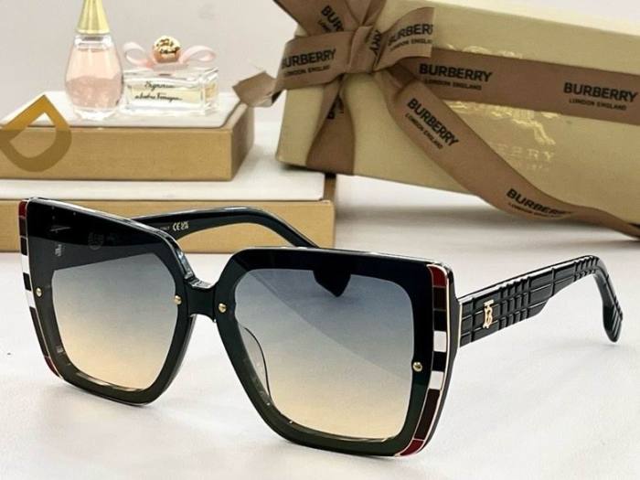 Top Quality B*URBERR Glasses
