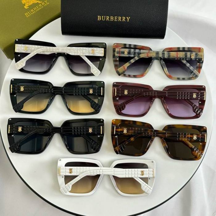 Top Quality B*URBERR Glasses