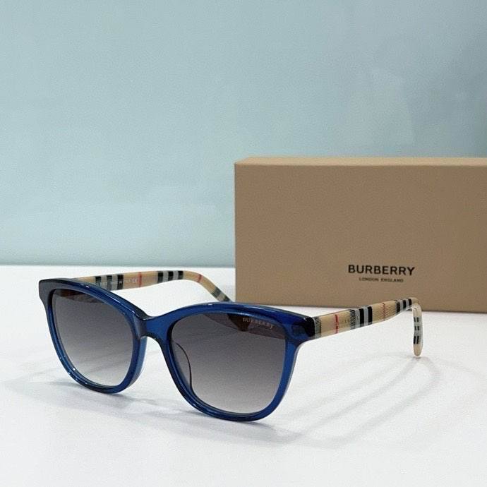 Top Quality B*URBERR Glasses