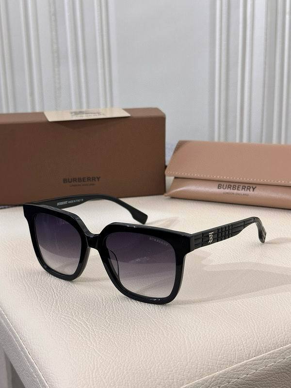 Top Quality B*URBERR Glasses