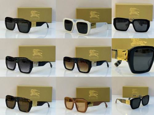 Top Quality B*URBERR Glasses